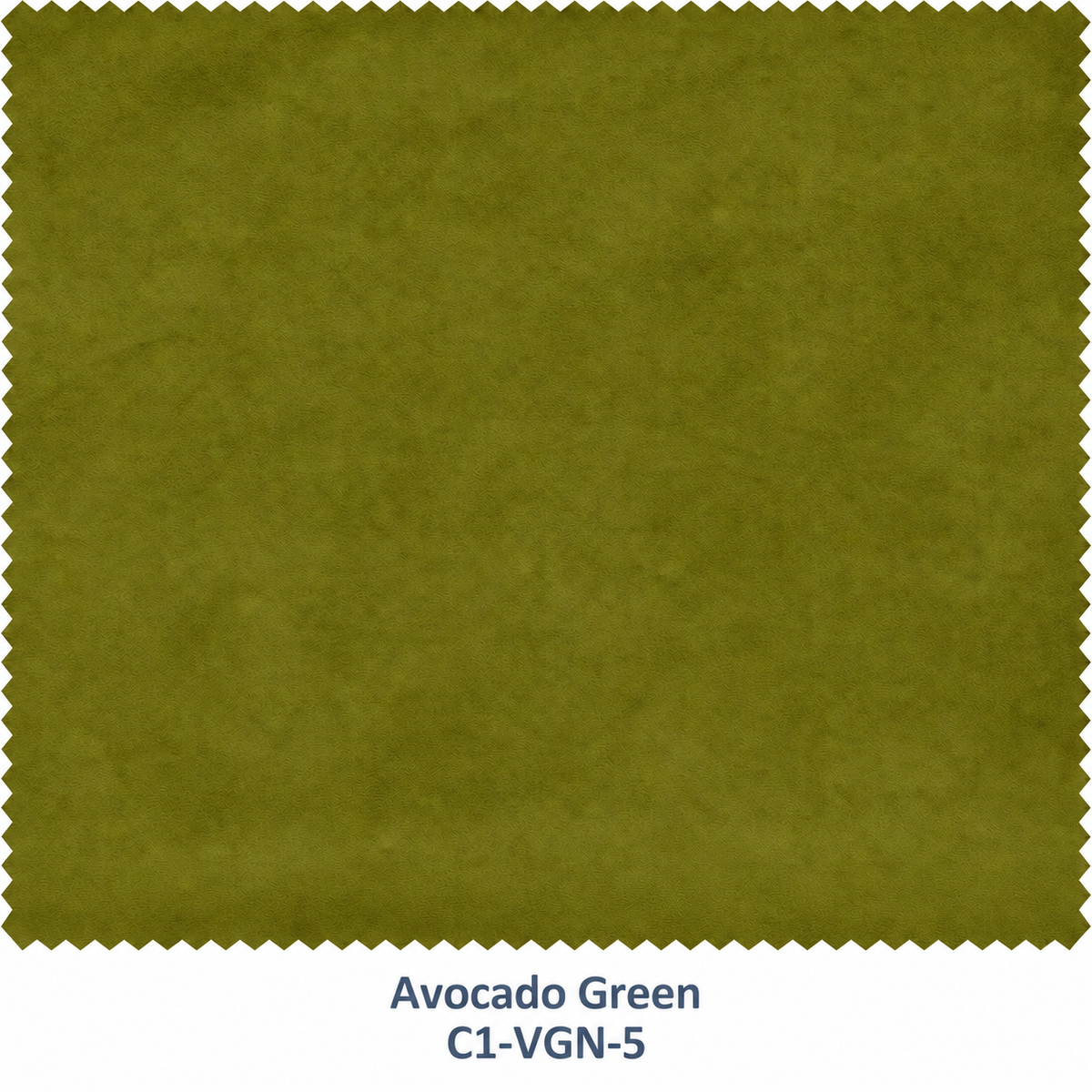 Green Velvet Curtain Fabric Swatch